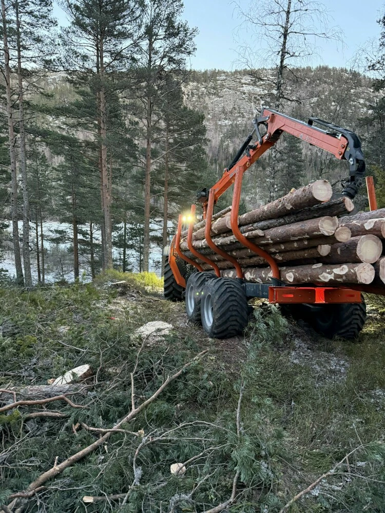 Skogsmaskin med tømmer på tilhenger i skogsområde